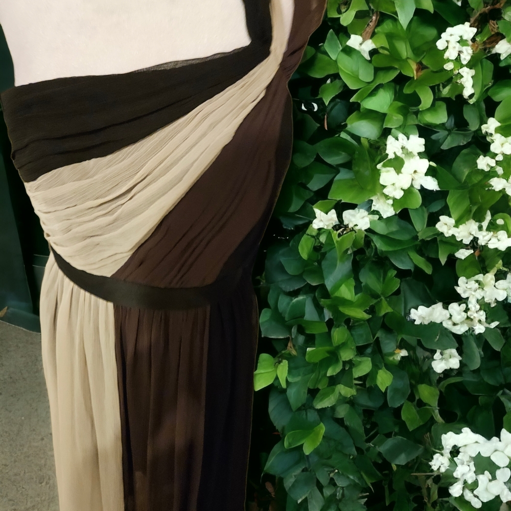 Max and Cleo Estee Colorblock Maxi Dress in Brown Size 8 - Picture 4 of 5